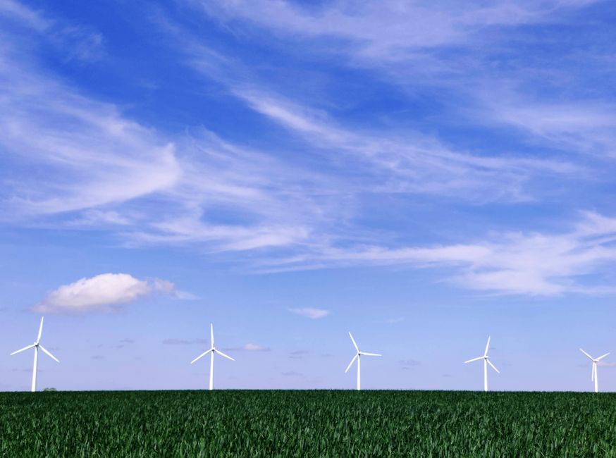 Windräder unter blauem Himmel über einem grünen Feld